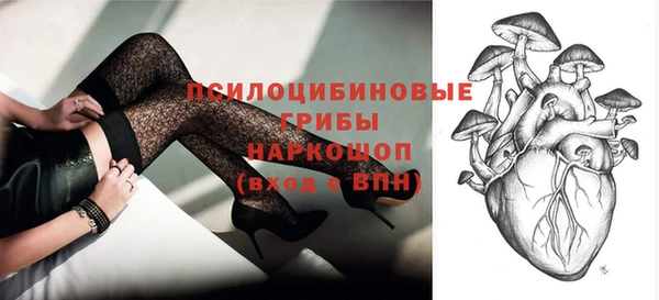 прущий лед Алексин