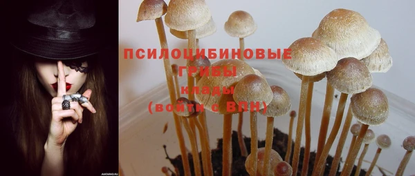 прущий лед Алексин