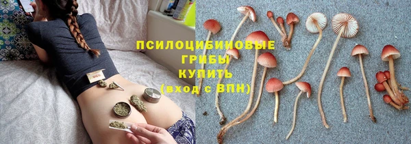 прущий лед Алексин