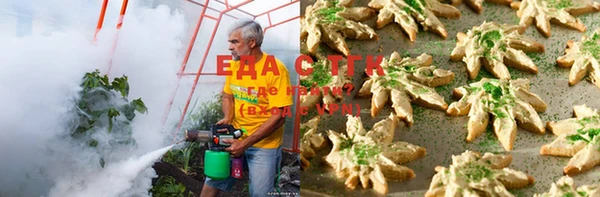 трава Аркадак